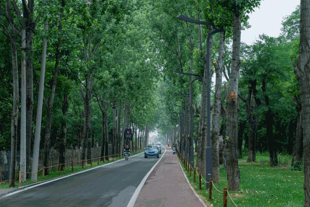 西安花海小森林,西安周边适合郊游野餐的地方