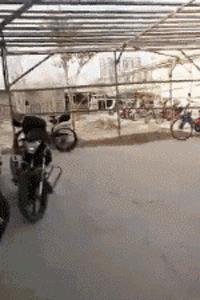 你见过的最搞笑的gif,搞笑gif开心一刻单身也挺好