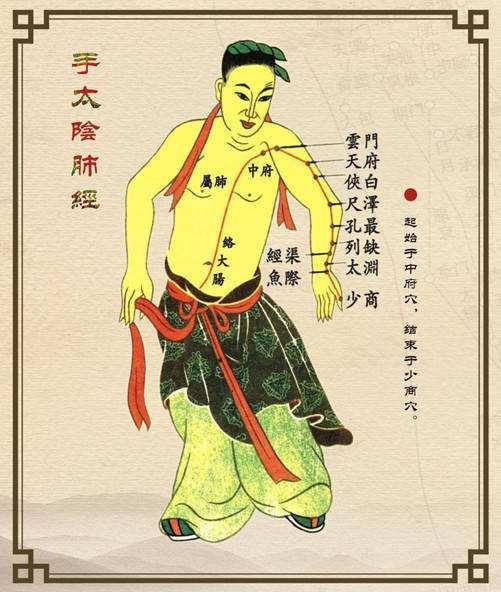 经络腧穴学的穴位主治记忆技巧,经络穴位在治疗过程的记忆和运用