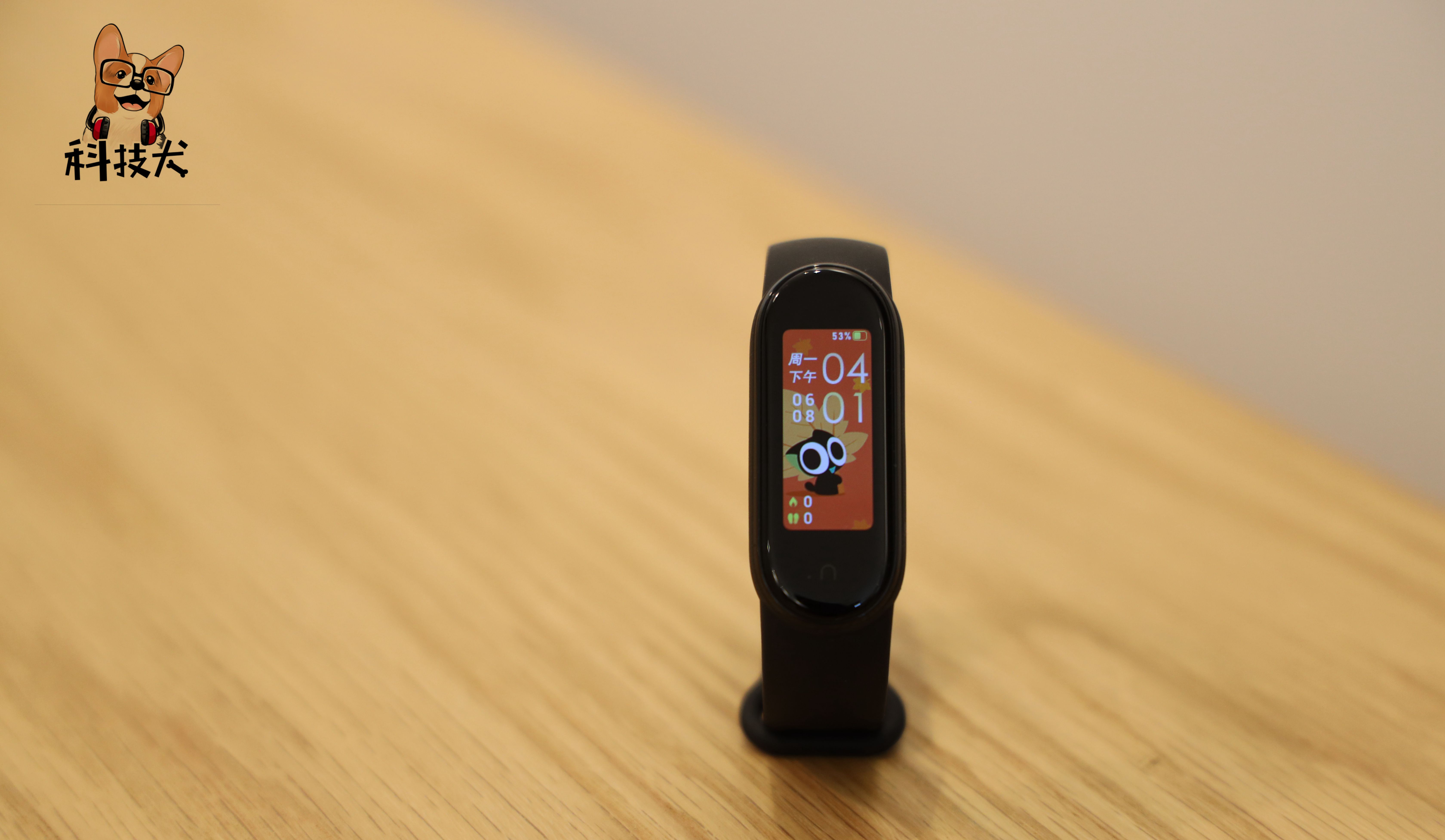 小米科技犬推荐,雷军小米极致爆款