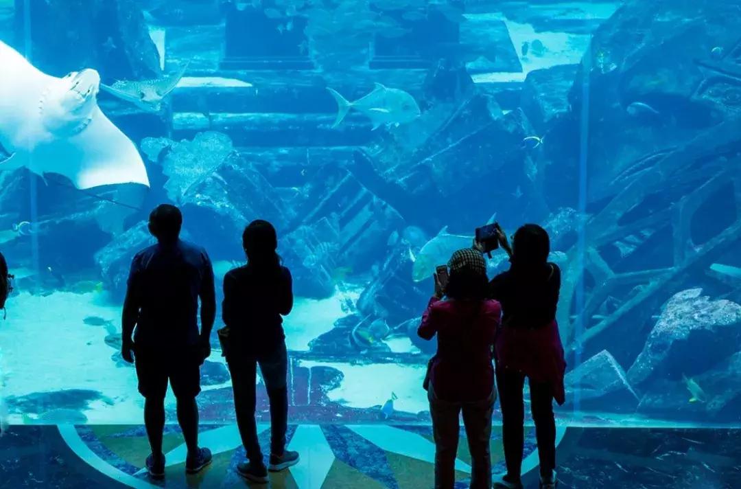 沉浸式乐园强势来袭游客“刷刷刷”不停