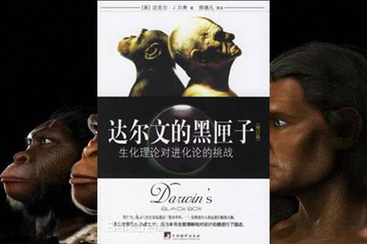 进化论真的就是我们人类的起源吗,物种起源和进化论有什么区别