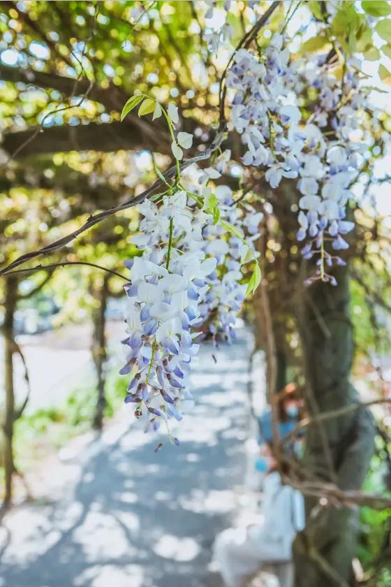 科举考试秀才举人进士录取人数,秀才和举人进士关系