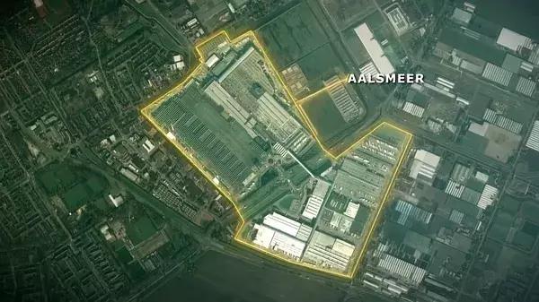 世界最大鲜花市场的销售全过程,全球最大的鲜花交易市场排名第一