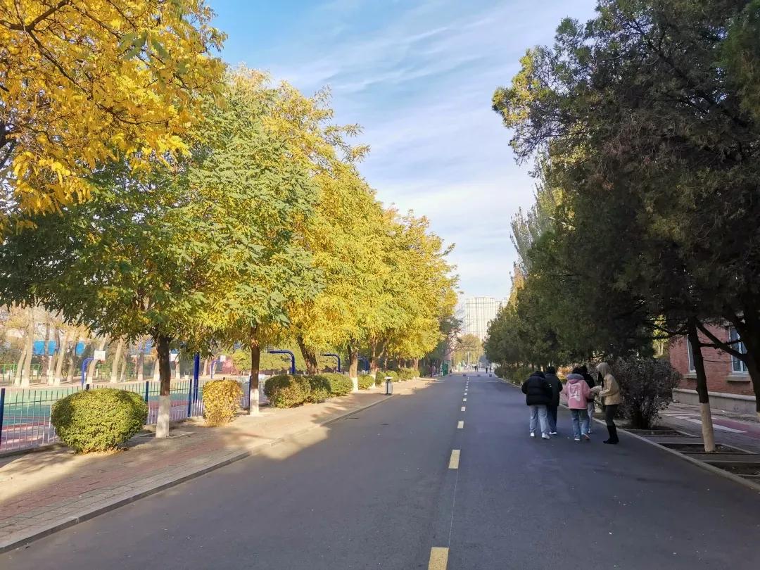 辽宁工程技术大学辽宁省分数线,辽宁工程技术大学在辽宁省排名