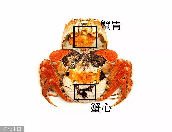 吃螃蟹的禁忌有哪些你知道吗,吃螃蟹有何禁忌