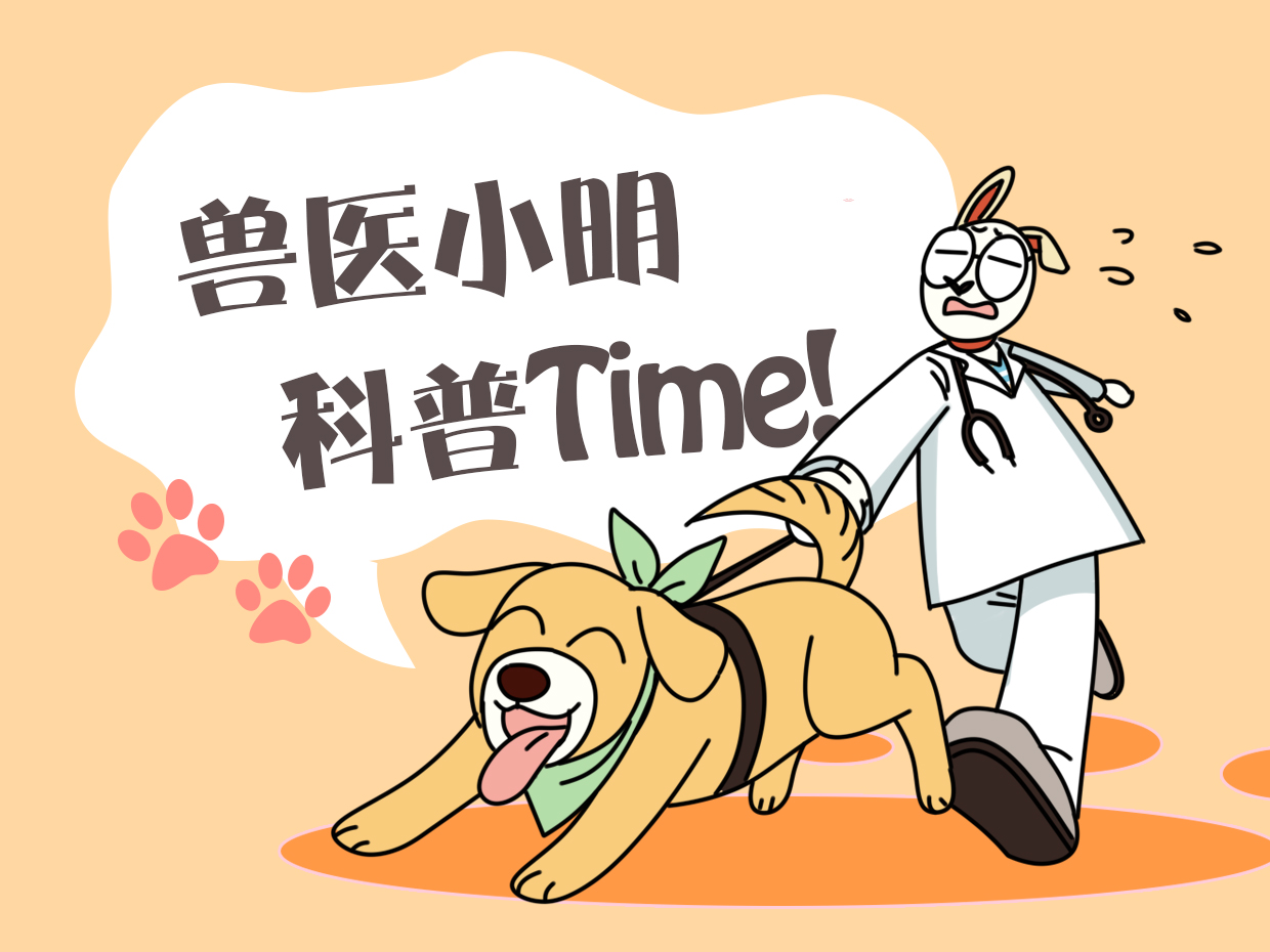 家门口多出一条锦鲤，女子很纳闷，观察几天发现送鱼的竟是流浪猫