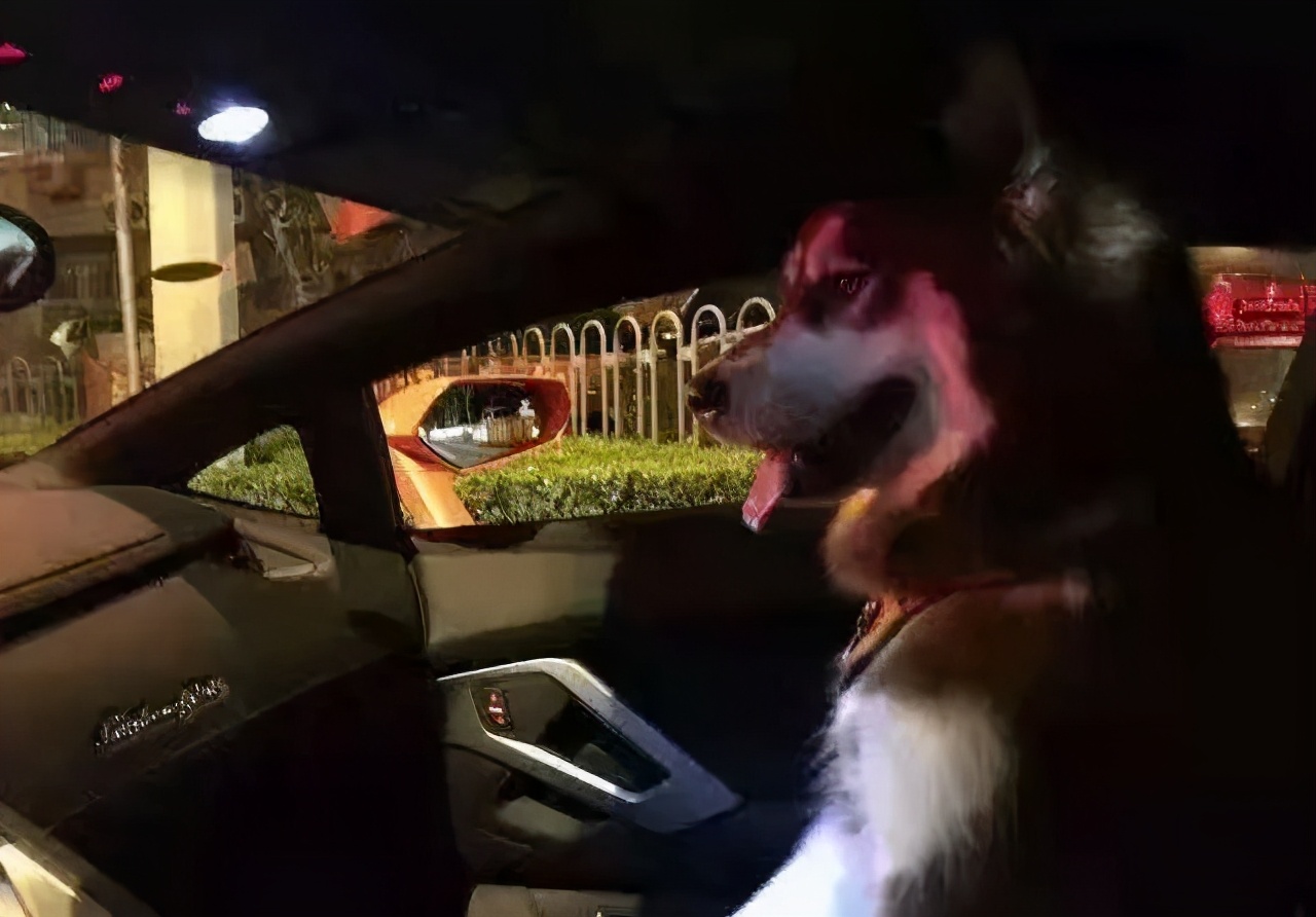 聚焦王思聪,再见了王思聪