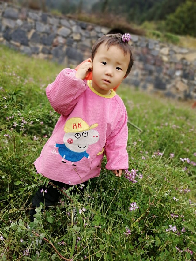 陌上花开,彩蝶翻飞,蜜蜂采蜜,这是一阙美丽的《蝶恋花》