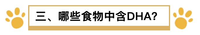 孕期究竟有没有必要补dha,孕期dha有必要补吗
