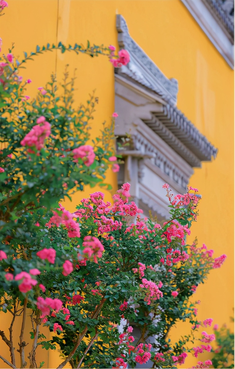 泰州中国最幸福的城市,泰州哪里比扬州好