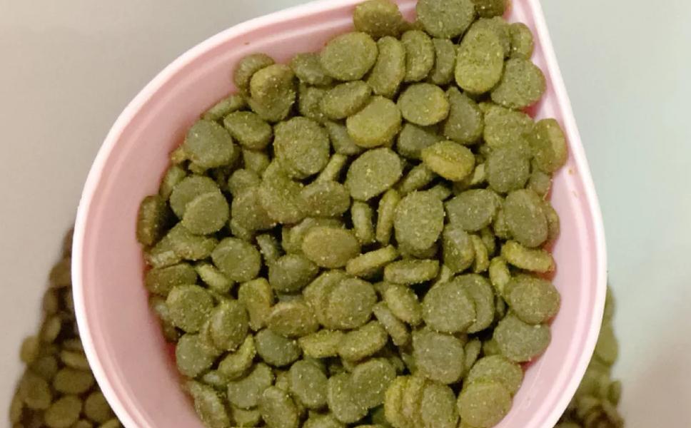 猫粮测评：多年养猫选粮经验分享