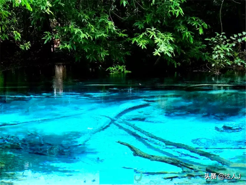 跟着小宇游日本,跟着小天玩游戏