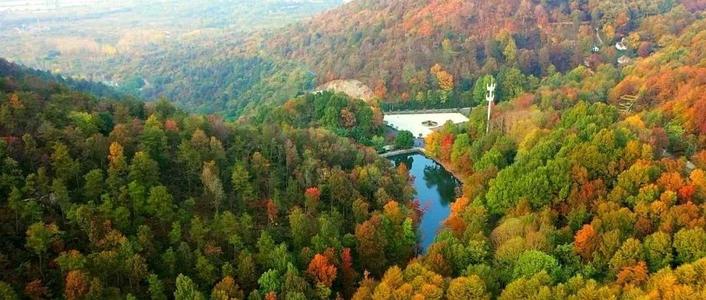 泸州旅游推荐景点大全最新,合肥旅游免费景区推荐