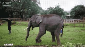 9.4分韩国催泪电视剧,韩国十部9.5评分催泪电影