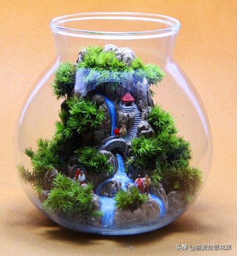 微景观生态瓶教程,微景观生态瓶怎么固定
