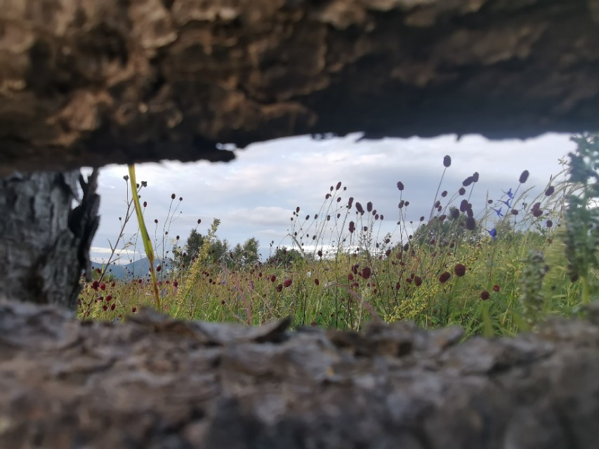 玩摩托车是怎样入坑的,摩托车入坑技巧视频