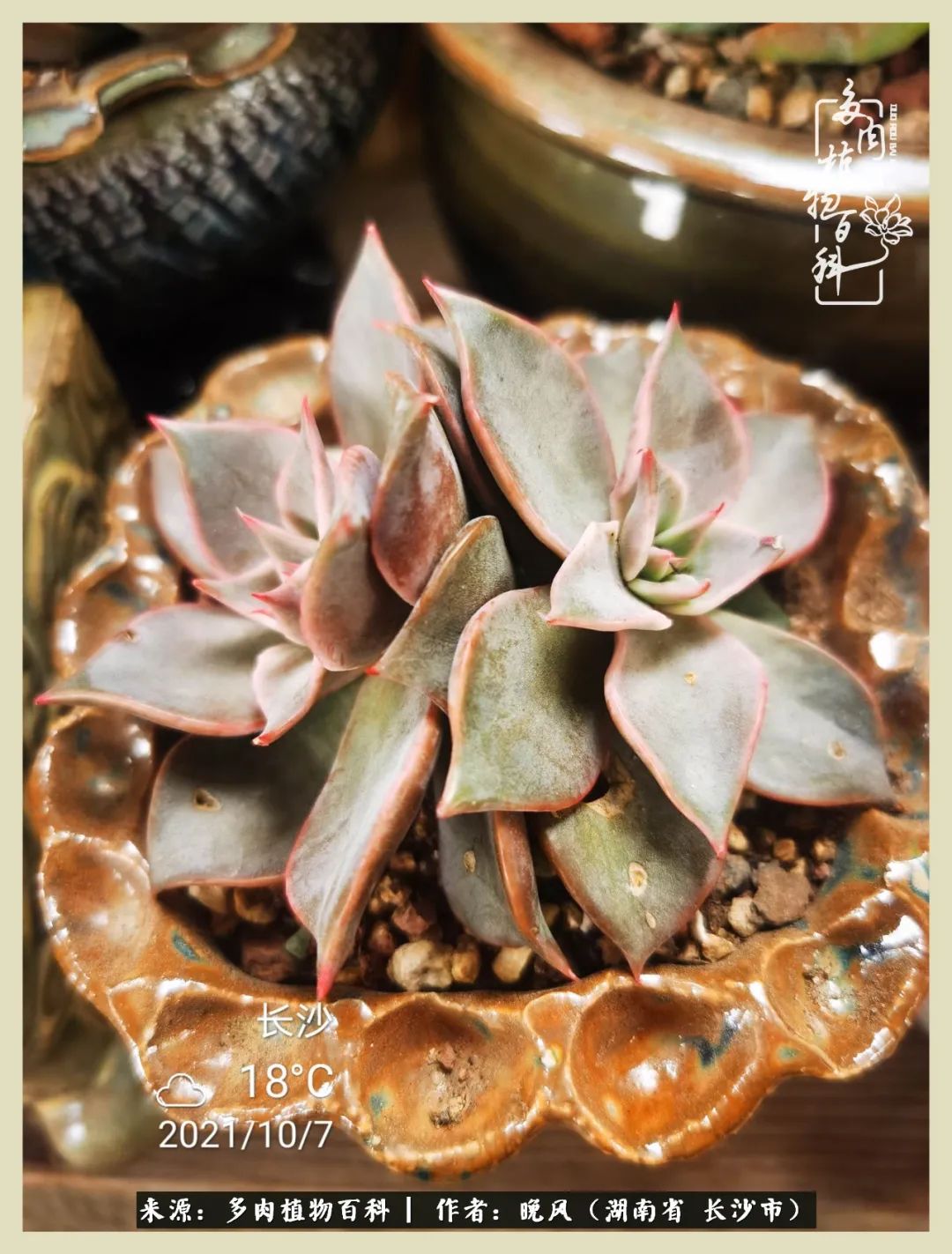 摇身一变成了奶爸,摇身一变成为打工人