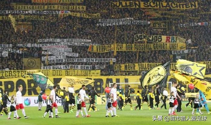 德甲50+1霍芬海姆,霍村老板霍普霍芬海姆