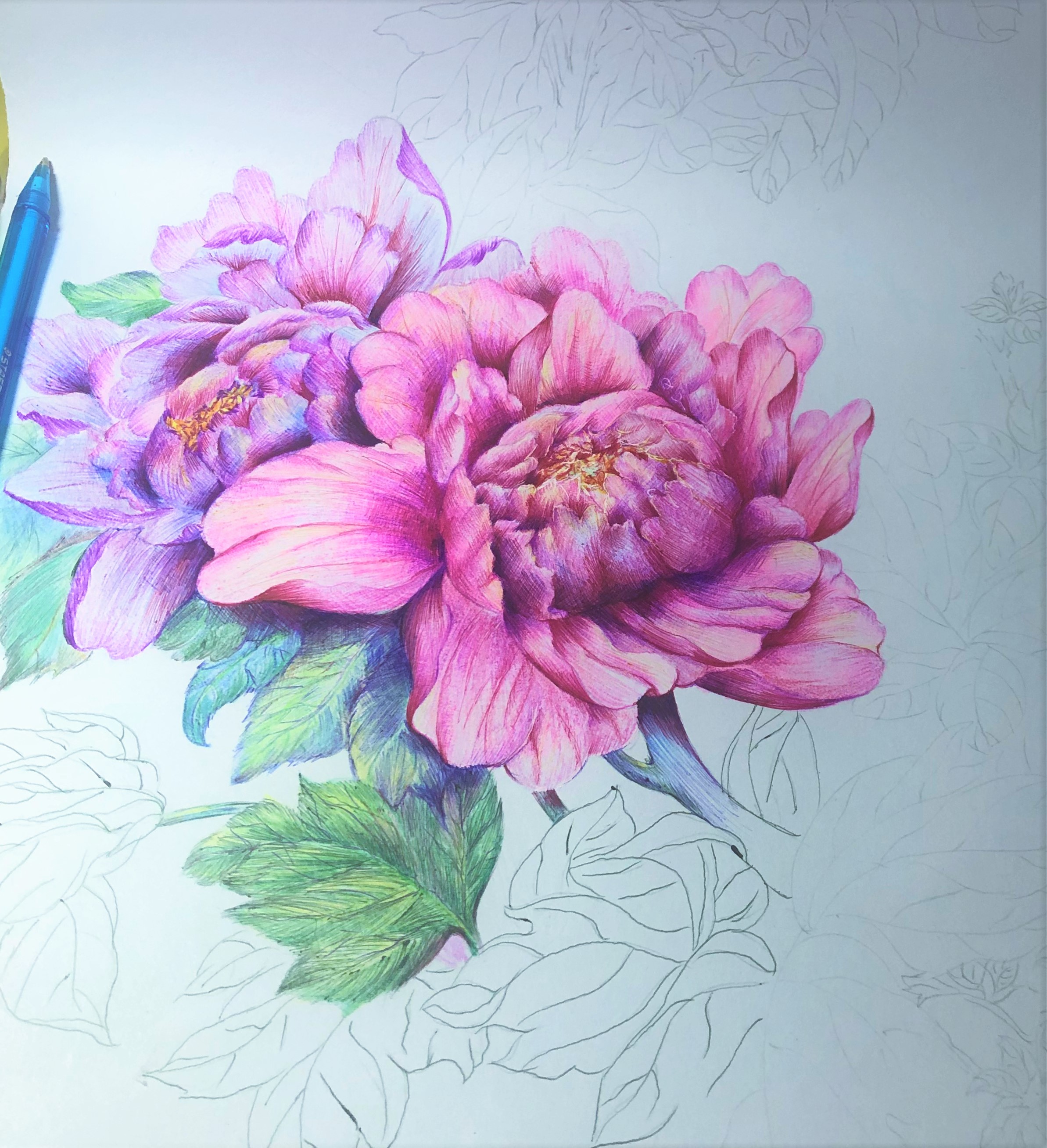 圆珠笔画牡丹教学,圆珠笔画牡丹的画法