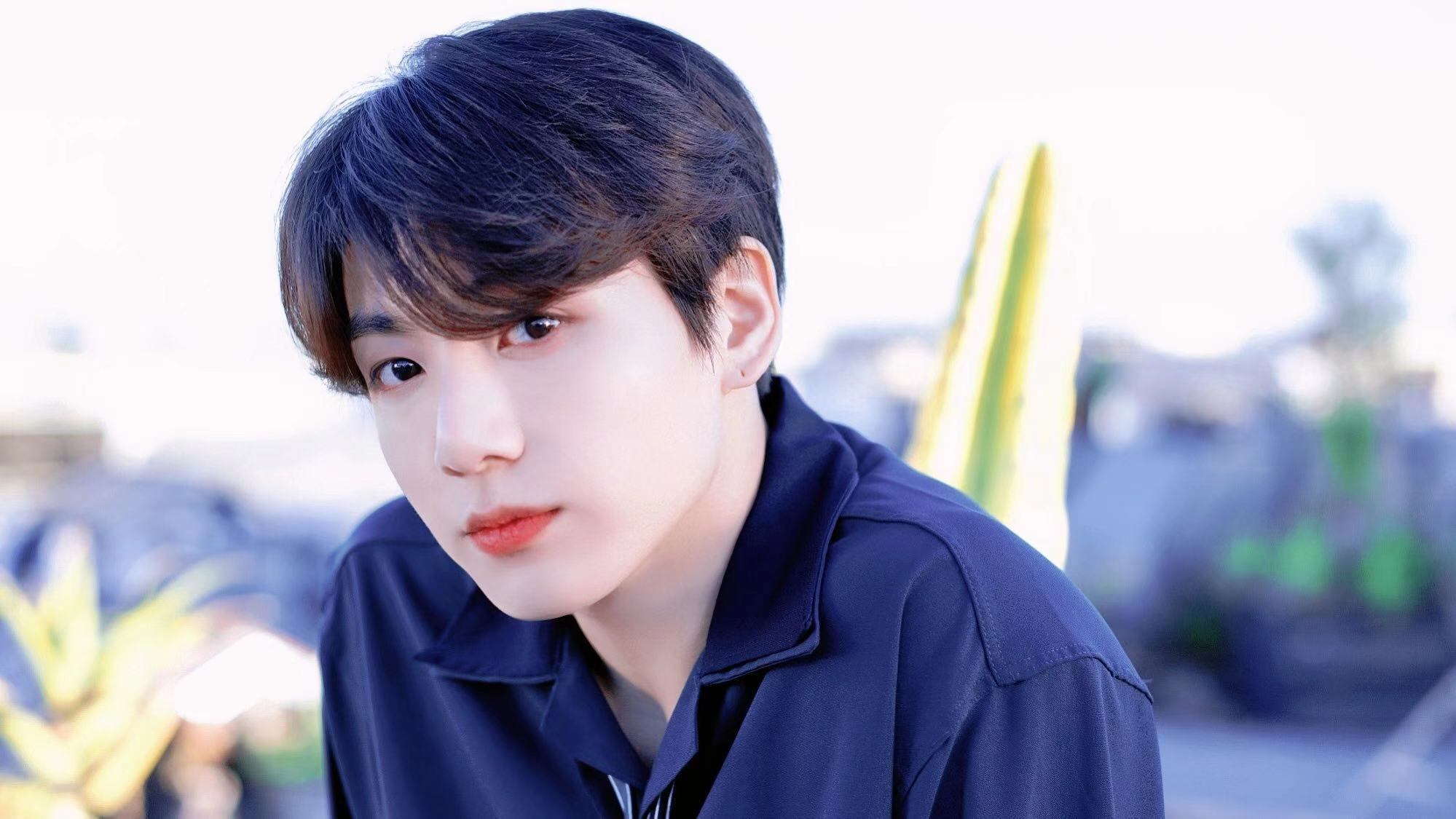 伯贤表演时防弹少年团台下反应,防弹少年团成员对金硕珍评价