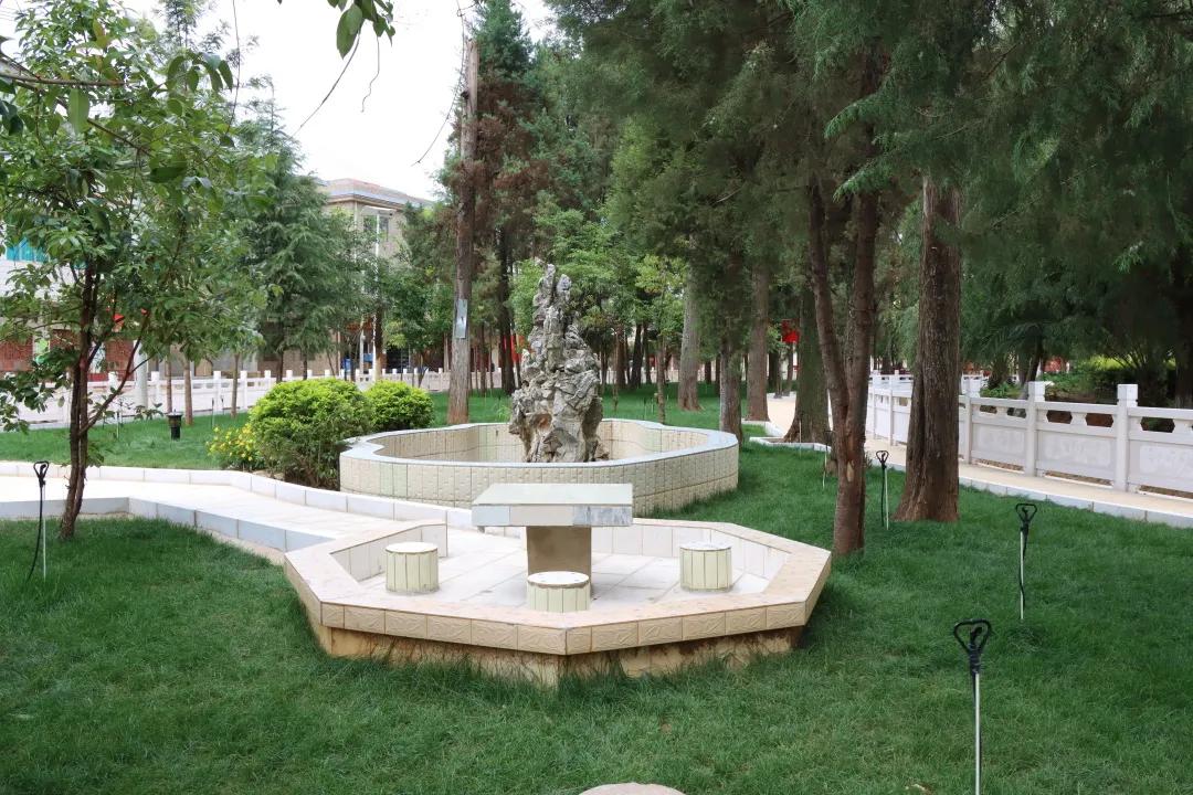 党史学习教育巡回指导组来我校,省委督导组督导检查党史学习教育