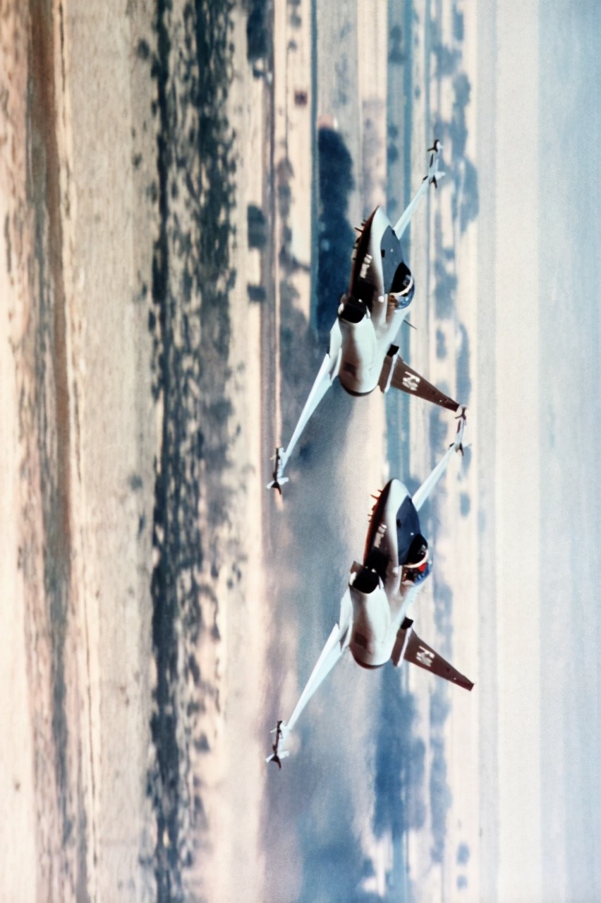 极富悲剧色彩的虎鲸,虎鲨悲剧