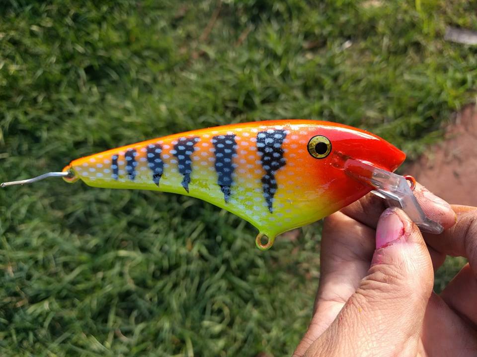 路亚新手从上线到上假饵,路亚全套路假饵