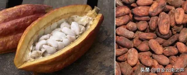 不看这篇文章，别好意思说你很懂巧克力！