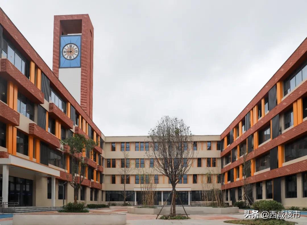 新增的231个学位是什么,5年内新增438万公办学位