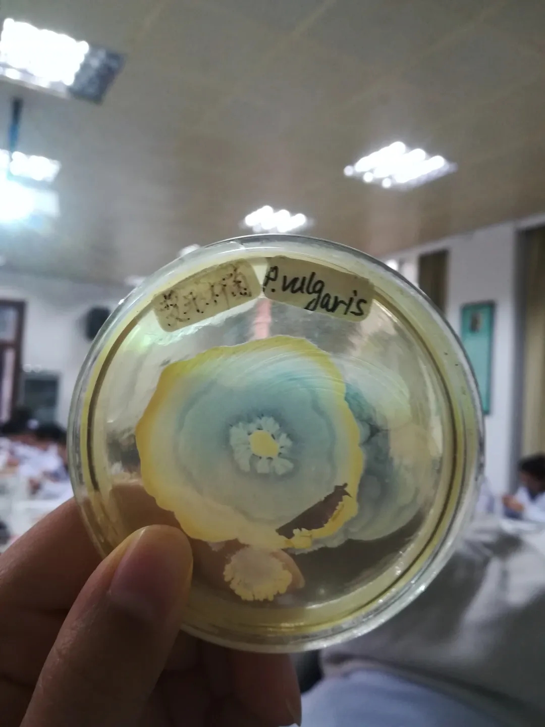 医学生学习打卡做题,医学生学习成果检验视频