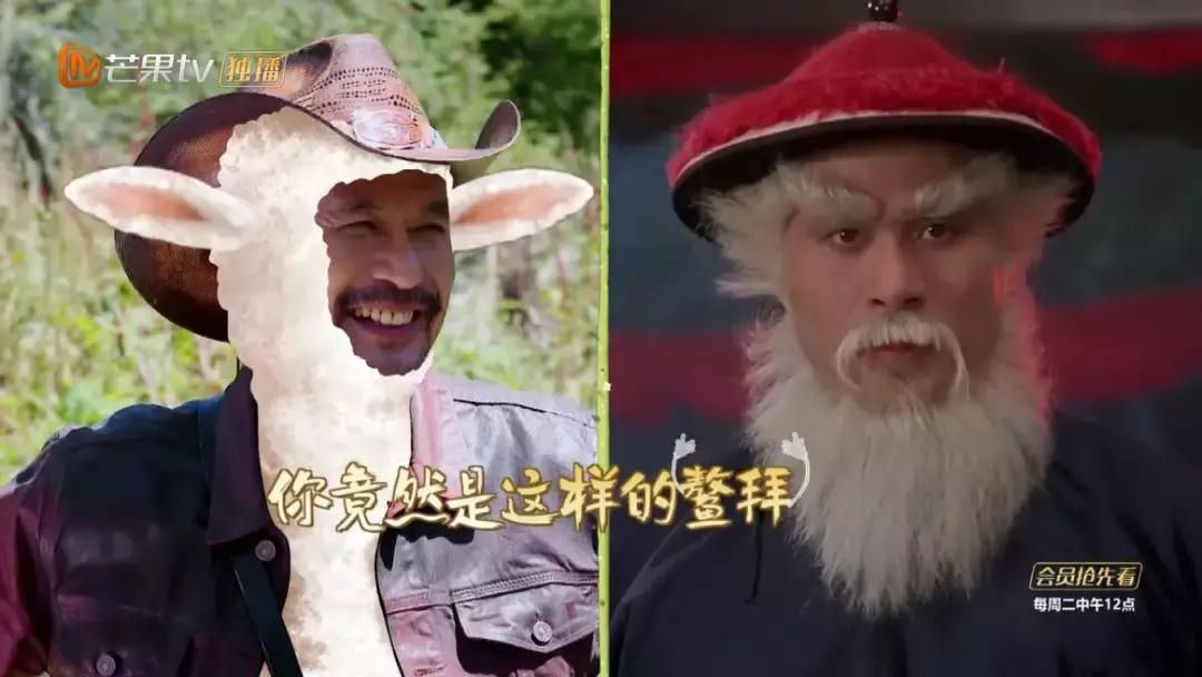 笑到肚子疼的一个完整版的电视剧,笑到肚子都有点疼的综艺