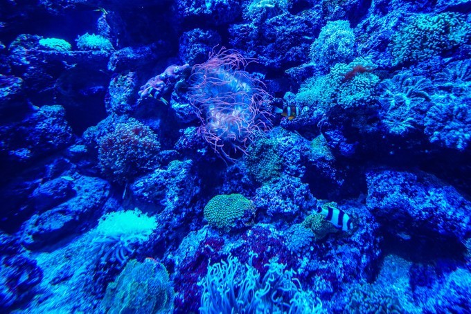 新手怎么逛免税店攻略,50家免税店最划算攻略在此