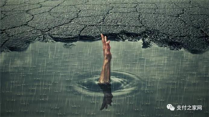 全国第三方支付公司有几家,第三方支付公司最新信息