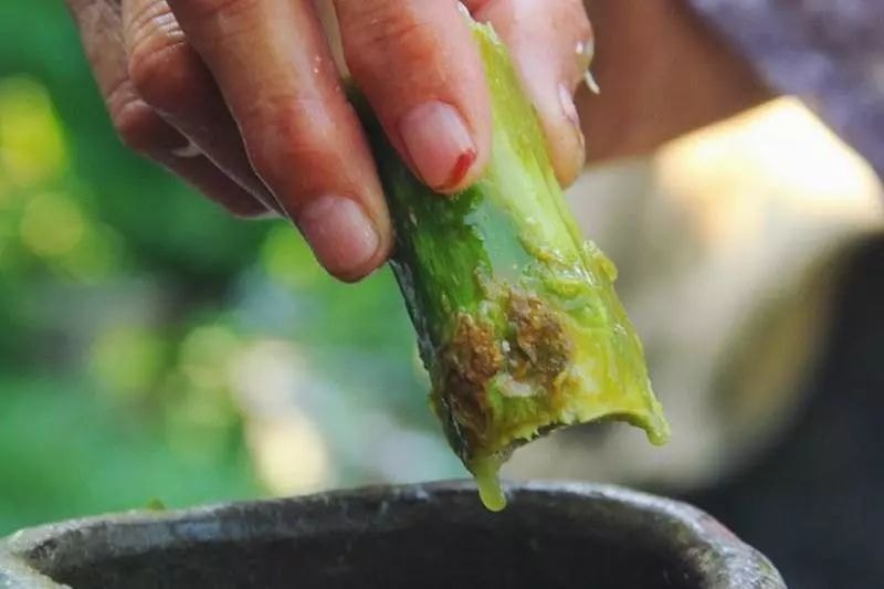 椋熺勃鑰呬笉鍏ヤ镜,椋熶箣鏃犺嚟寮冧箣鍙儨