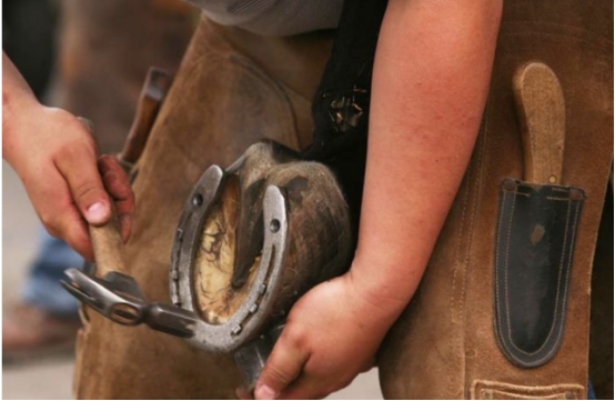 为什么马蹄上钉铁掌,为什么马蹄上要钉蹄铁