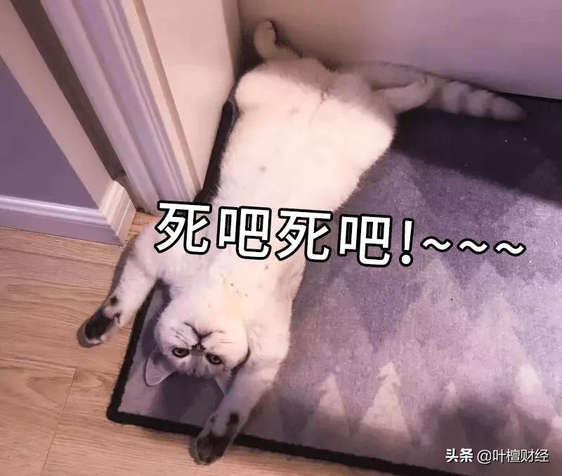 叶檀富豪榜,叶檀财经故事