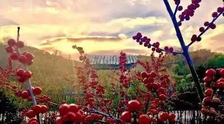 辽源东丰县五一游,辽源十一周边一日游的绝佳去处