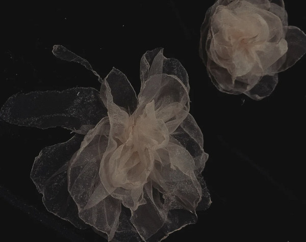 盘点blackpink又丑又贵衣服,盘点blackpink的贵衣服