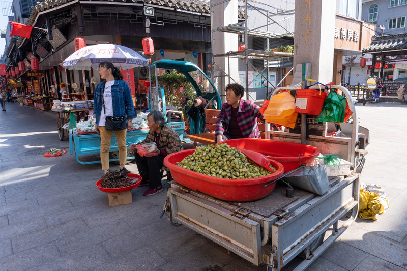 乘着高铁去踏青赏景,乘着高铁游扬州高邮北