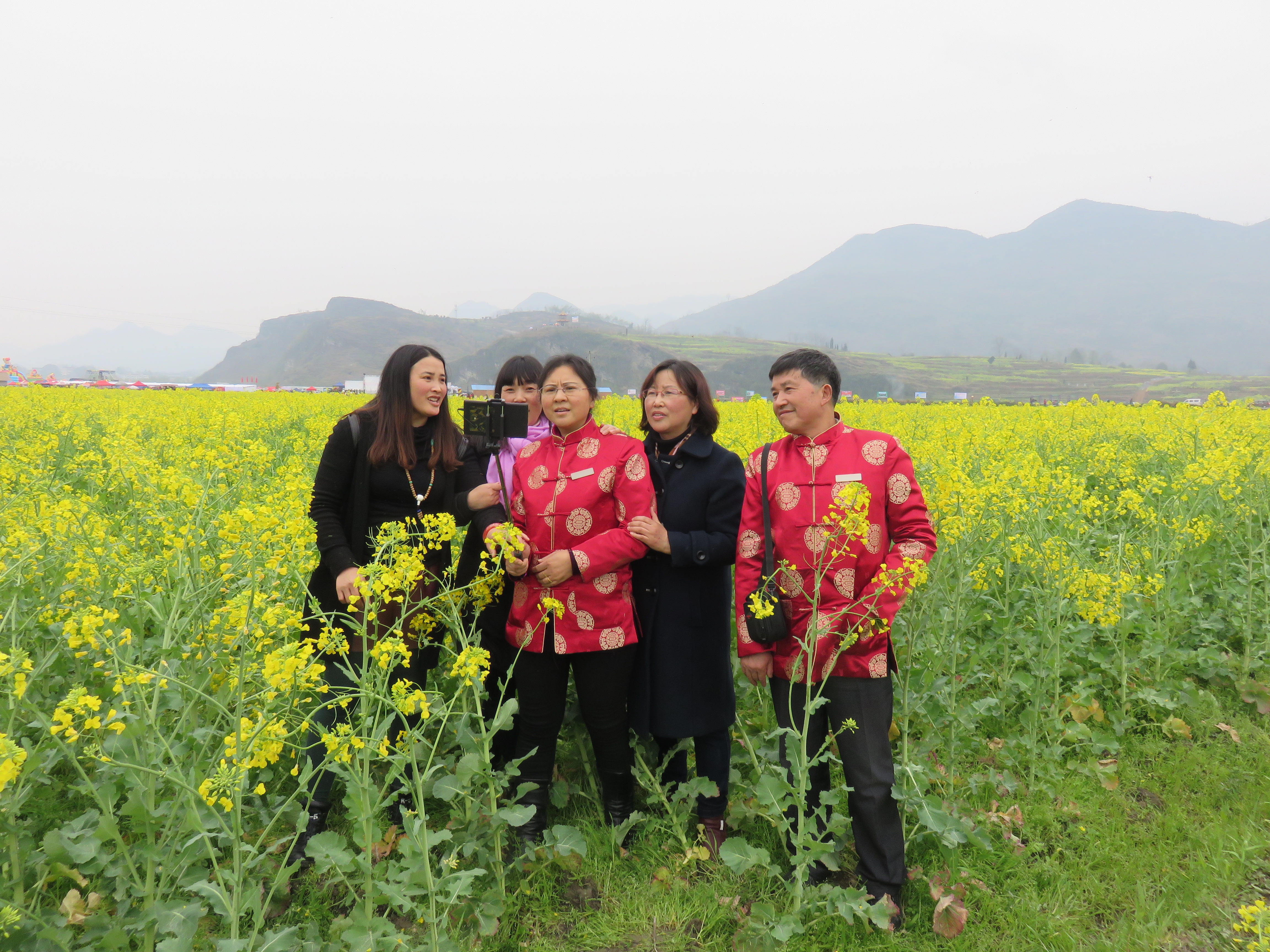 秀山清溪龙凤油菜花海,秀山清溪龙凤花海视频