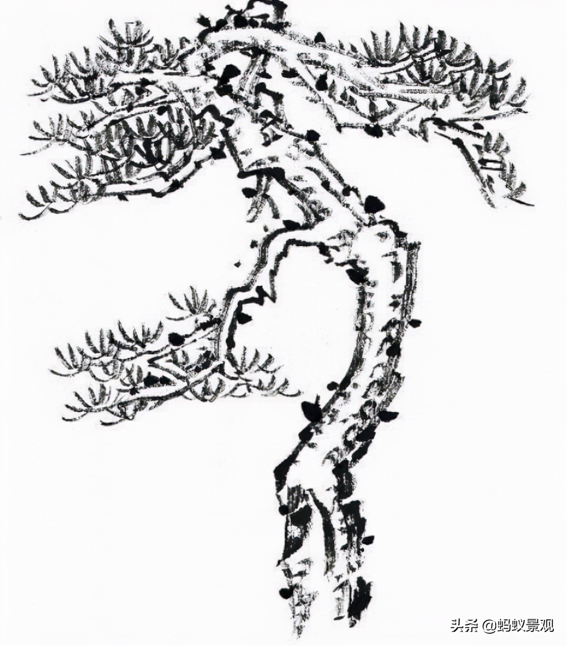 陈从周的园林作品有哪些,陈从周中国园林风格