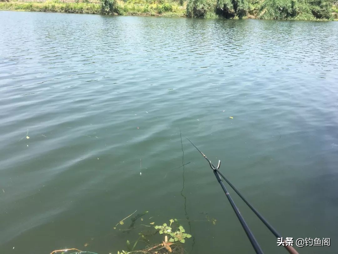 选择浮漂吃铅少是否灵敏,选择浮漂的诀窍