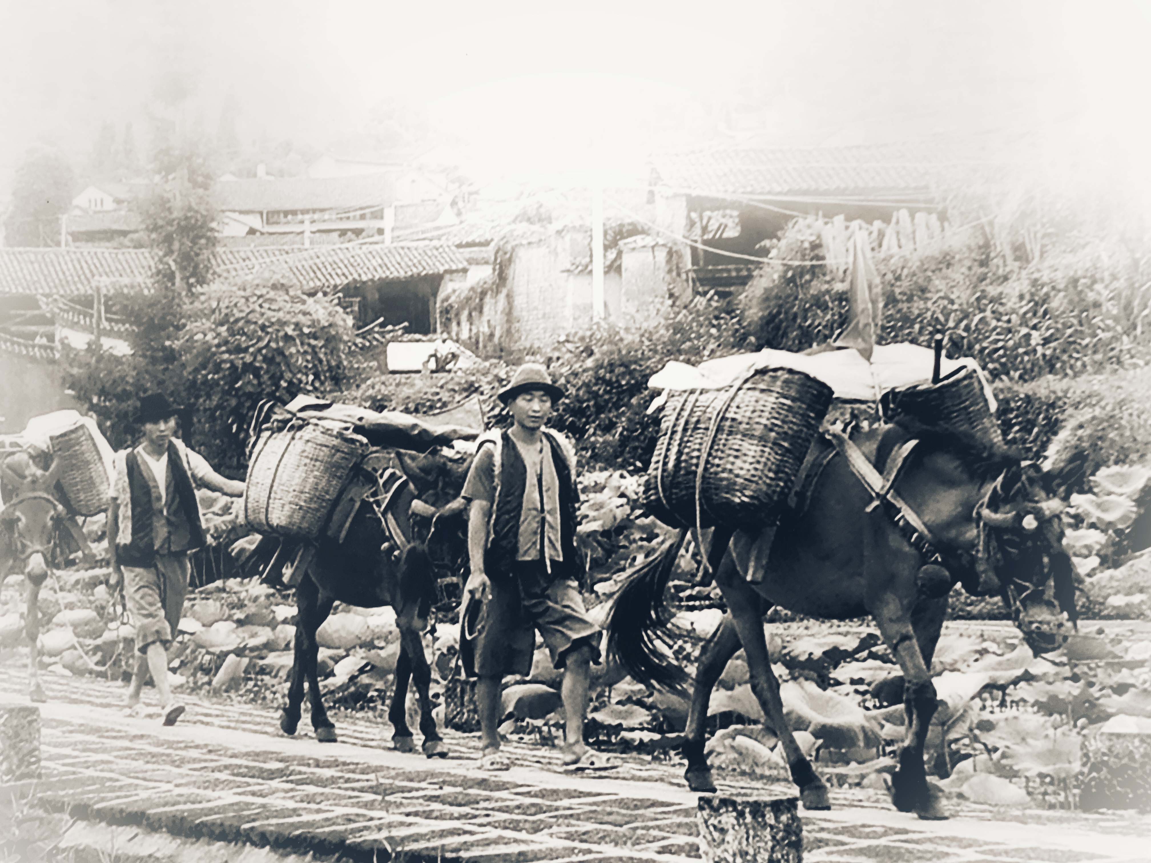 滇缅贸易的促进者--腾冲马帮，它们都在运输什么货品？