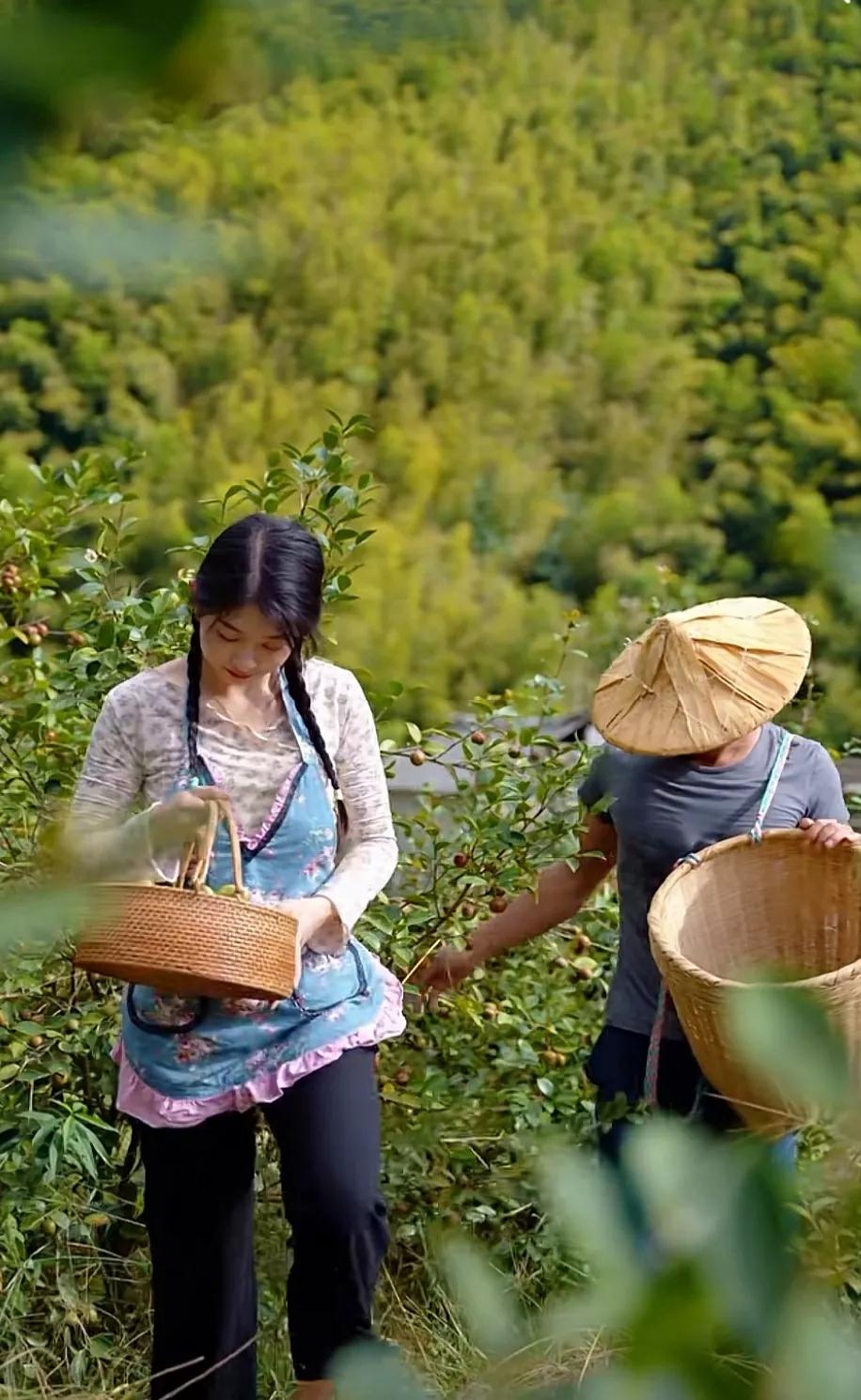 小姨温柔贤惠,特别淳朴的采茶女