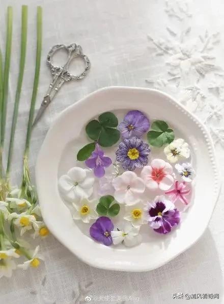 冻冰花美篇,冻冰花的美篇