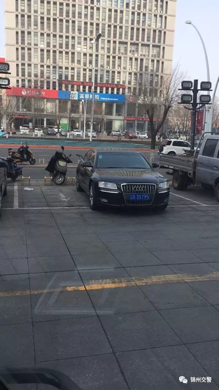 第三十批丨新一批模糊号牌车辆又被曝锦城网友真的很给力