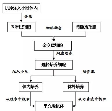 生物选修三1.1-1.3总结,生物选修一专题三