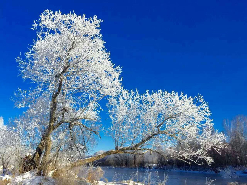 黑河市区有多大面积,黑河市最小的县