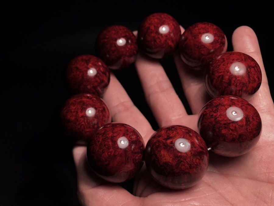 印度小叶紫檀森林视频,印度小叶紫檀秒懂百科